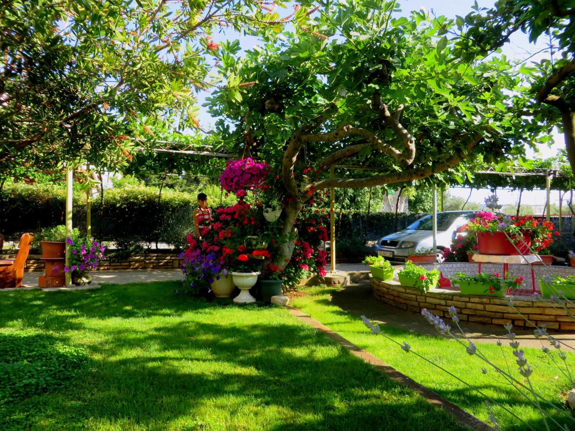 Beach Apartments Roza - The Garden Apartment Биоград-на-Мору Экстерьер фото