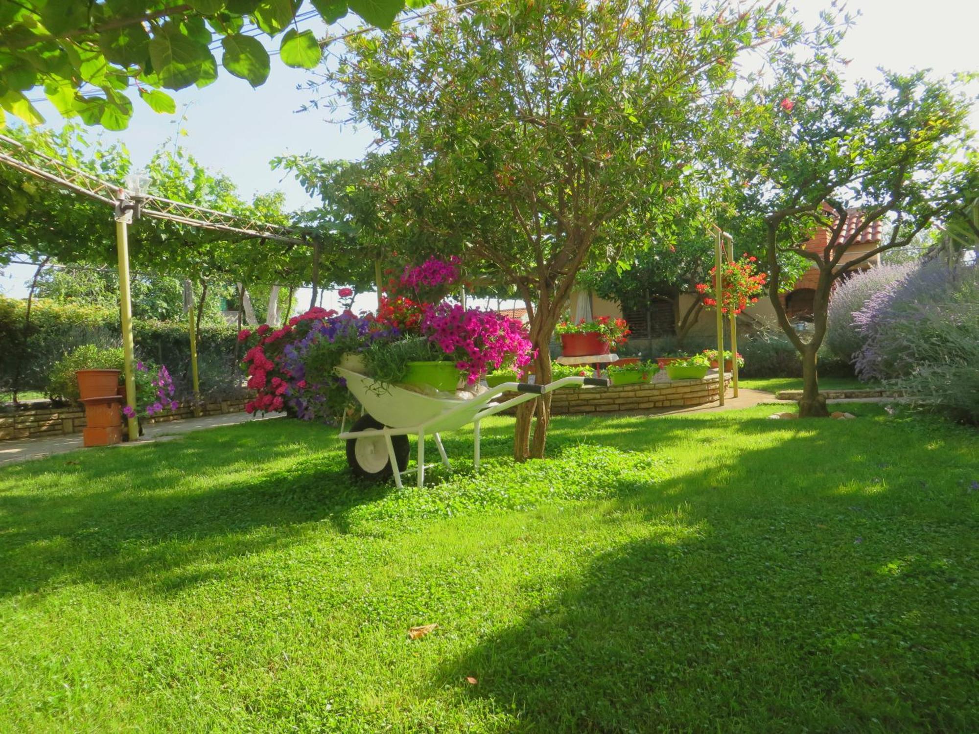 Beach Apartments Roza - The Garden Apartment Биоград-на-Мору Экстерьер фото
